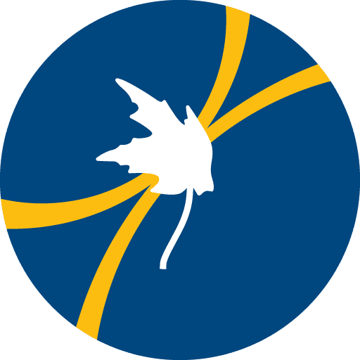 Mcdonald Institute