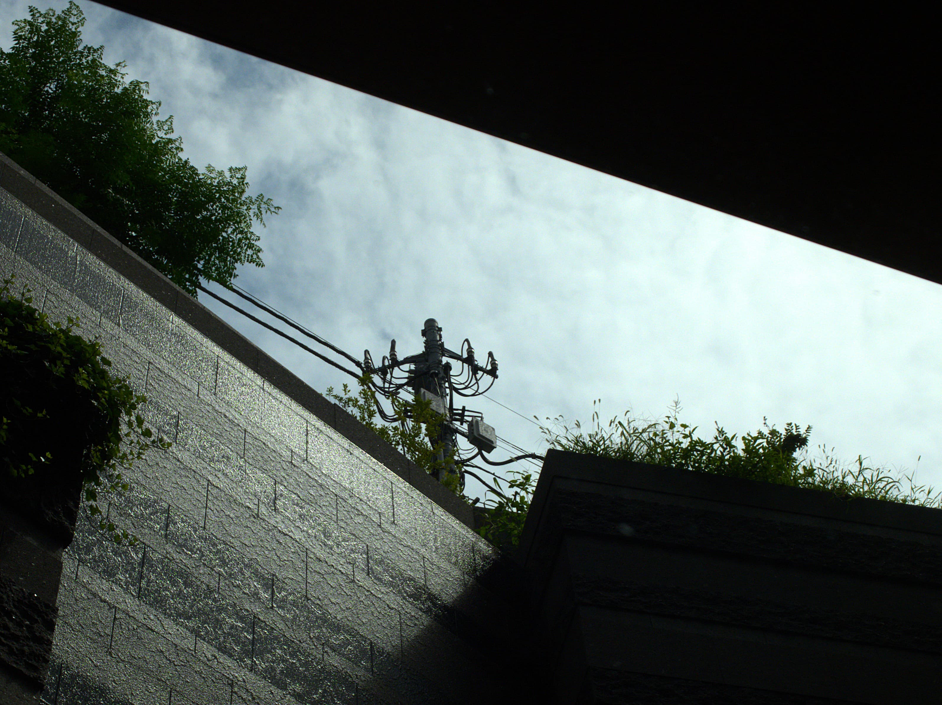 Wires and Sky